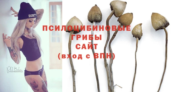 мет Гусь-Хрустальный