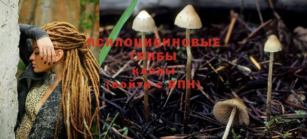 экстази Гусиноозёрск