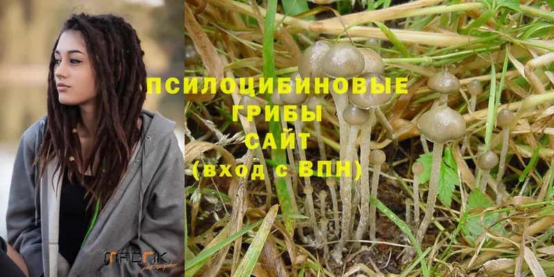 Галлюциногенные грибы Magic Shrooms  Духовщина 