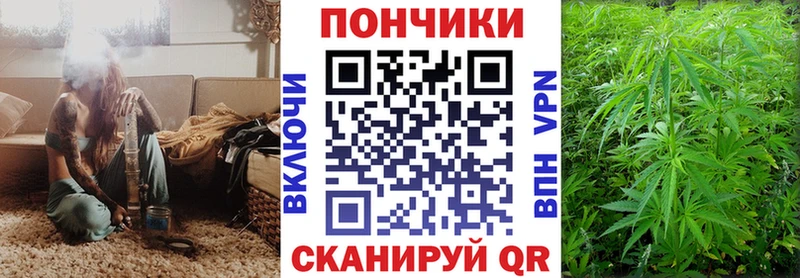 kraken   Духовщина  Каннабис семена 